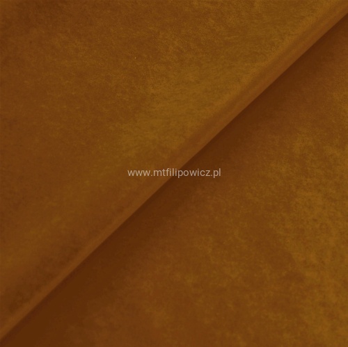 Jaguar cinnamon db!!!!.jpg