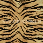 TKANINA OBICIOWA TYGRYS 1