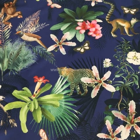 Czarodziejski ogród.jpg