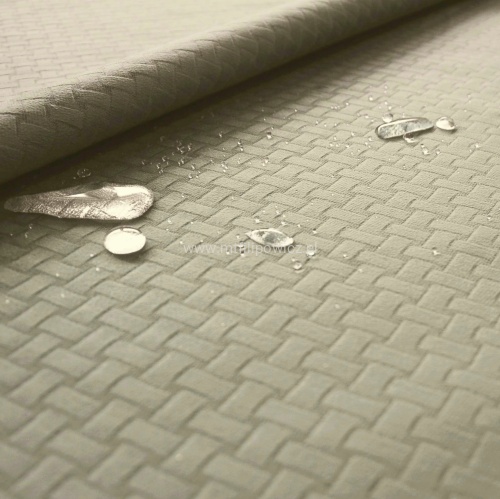 Dakar beżowy 2602.jpg