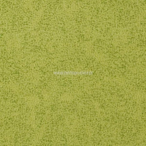 avanti grass.jpg