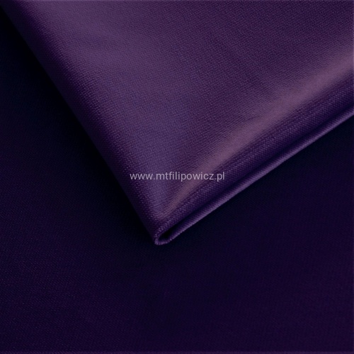 Nowy Rodos śliwka 02.jpg