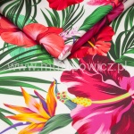 OUTDOOR 100 EGZOTYCZNE KWIATY