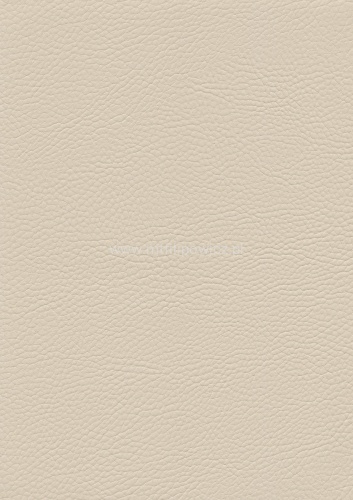 ef6d6400b41935a789c2eee10b1c911c