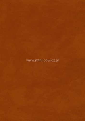 83df6e02e5a6fab1d04b196b4a684f27