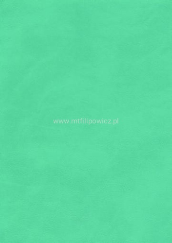 ae8f5adc4f21d95f4bcd011e3c497087