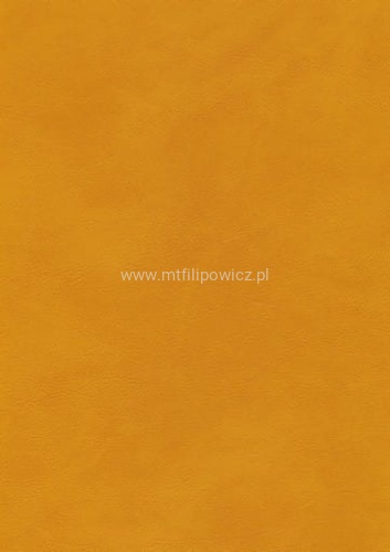 875132c3486815a20de664cdc2926732