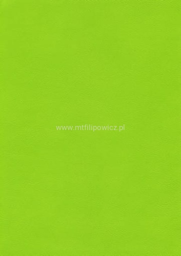 91cfe7a980a64dfb2a1ffb5ee66567a6