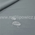 Blanca2050ab.jpg