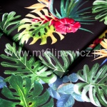 OUTDOOR MONSTERA NA CZARNYM TLE