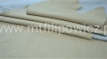 Madras230ba.jpg