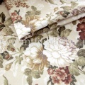 norfolk1.jpg