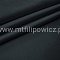 Platyna 23a.jpg