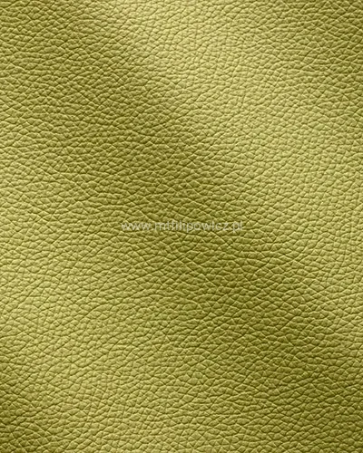 Zenith-Lime_9036-400x500.webp
