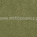 Andes kiwi.jpg