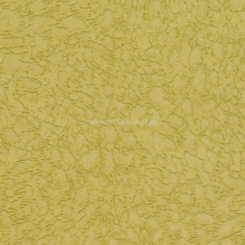 Michigan_Melon.jpg
