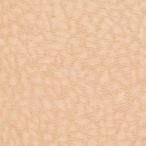 Leopard papaja1.jpg