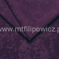 mikrofaza violet 23.jpg