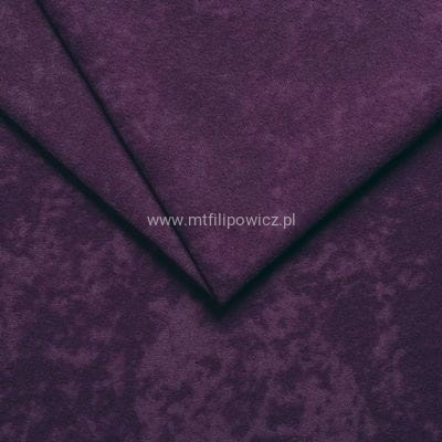 mikrofaza violet 23.jpg