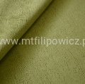 ARIZINA db Green.jpg