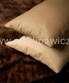 Cob_016_front_1 (1).jpg