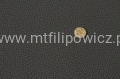saharaoliwkowoszary.jpg
