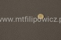 saharaszarobeżowy.jpg