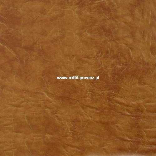 Skaj (derma) Jaguar B-10 (id: 410)