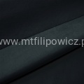 Platyna 23 b.jpg