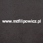 TKANINA OBICIOWA CARABU HP  110