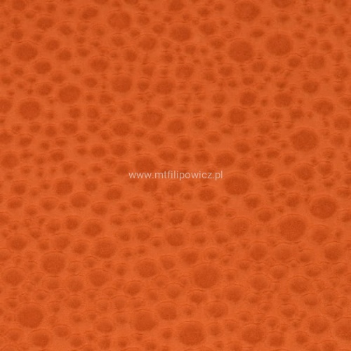 Akuarius_dark_orange (2).jpg